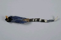 臺灣藍鵲藏品圖，第5張